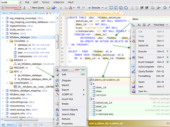 Database .NET Professional screenshot
