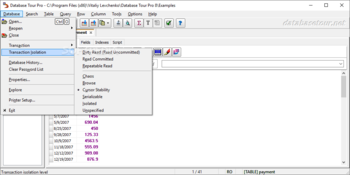 Database Tour Pro screenshot 2