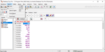 Database Tour Pro screenshot 3