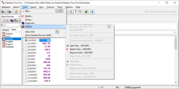 Database Tour Pro screenshot 4