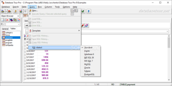 Database Tour Pro screenshot 5