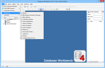 Database Workbench Lite for Firebird screenshot 2