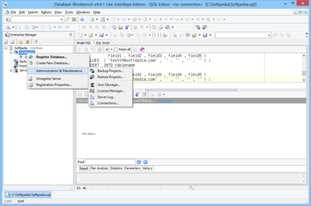 Database Workbench Lite for InterBase screenshot 2