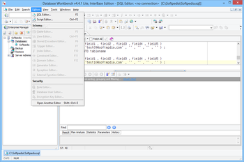 Database Workbench Lite for InterBase screenshot 5