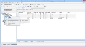 Database Workbench Lite for MySQL screenshot 2