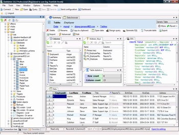 DatAdmin Professional screenshot