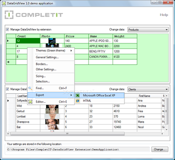DataGridView Extension screenshot 3