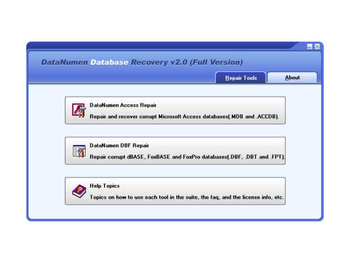 DataNumen Database Recovery screenshot