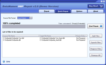 DataNumen DBF Repair (formerly Advanced DBF Repair) screenshot 2