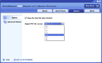 DataNumen PDF Repair (formerly Advanced PDF Repair) screenshot 3