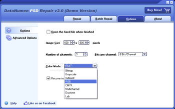 DataNumen PSD Repair (formerly Advanced PSD Repair) screenshot 3