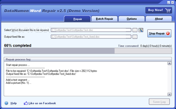 DataNumen Word Repair (formerly Advanced Word Repair) screenshot