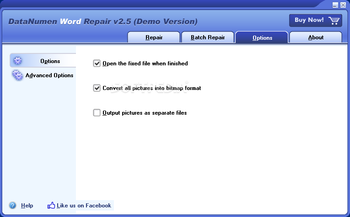 DataNumen Word Repair (formerly Advanced Word Repair) screenshot 4