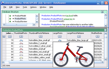 DataRoamer screenshot 3