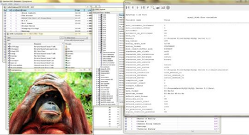 DataView screenshot