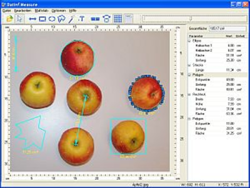 DatInf Measure screenshot