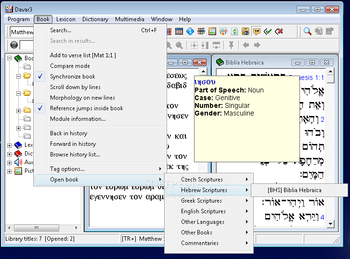 Davar Hebrew Dictionary screenshot 2