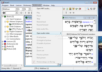 Davar Hebrew Dictionary screenshot 4
