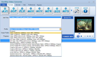 DAVIMAX Video Converter screenshot 4