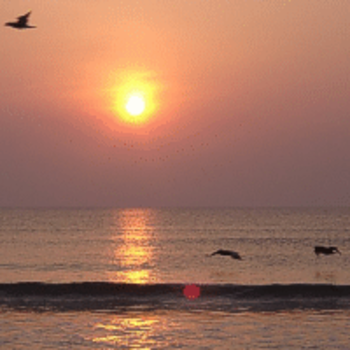 Dazzling Daytona Sun Screensaver screenshot 2