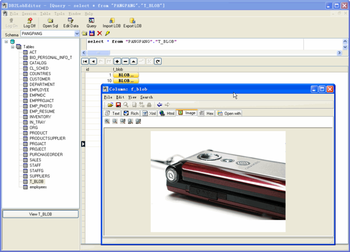 DB2LobEditor screenshot