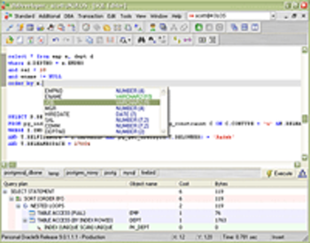 dbDeveloper Professional screenshot
