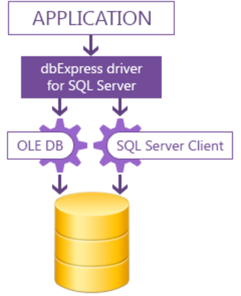 dbExpress driver for SQL Server screenshot