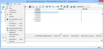 DBF Commander Professional screenshot 3