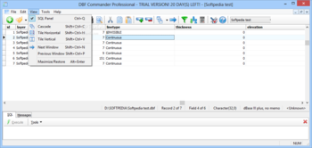 DBF Commander Professional screenshot 4