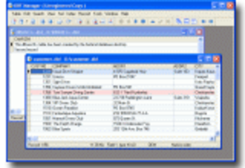DBF Manager screenshot 3