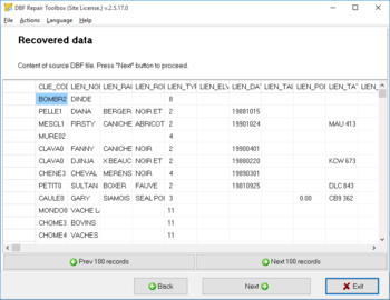 DBF Repair Toolbox screenshot 2