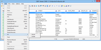 DBF Viewer 2000 screenshot 4