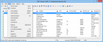 DBF Viewer 2000 screenshot 5