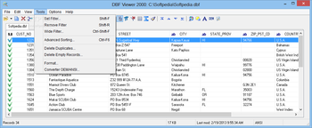 DBF Viewer 2000 screenshot 6