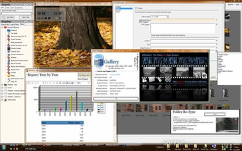 DBGallery: The Photo Database System screenshot