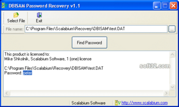 DBISAM Password Recovery screenshot 2