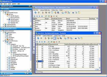 dbQwikEdit PRO screenshot 2