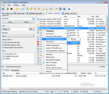 DC++ screenshot 4