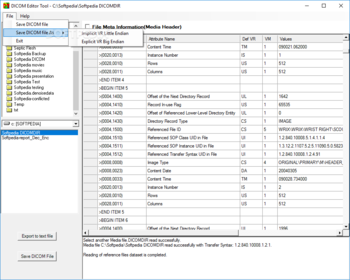 DCM Editor screenshot 2
