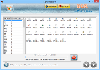 DDR - Pen Drive Recovery screenshot 8