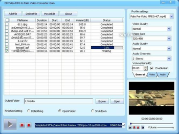 DDVideo DPG to Palm Video Gain screenshot 2