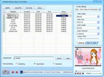 DDVideo Flash(SWF) to DPG Converter screenshot 3