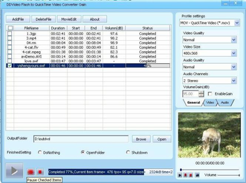 DDVideo SWF to QuickTime Video Gain screenshot 3