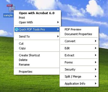 Debenu PDF Tools Pro screenshot