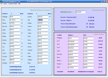 Debt Management Tool screenshot