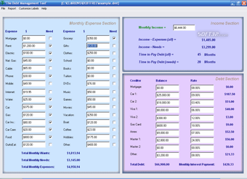 Debt Management Tool screenshot 2