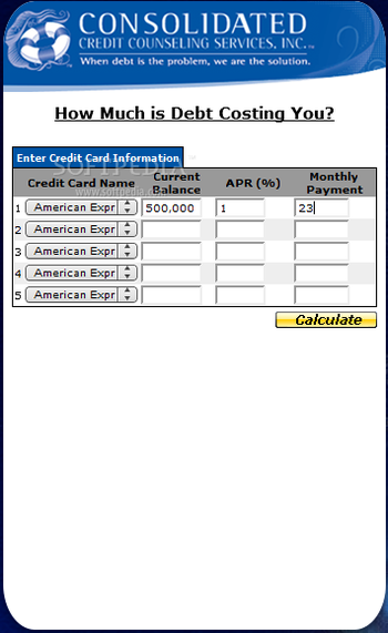 Debt Payoff Calculator screenshot 2