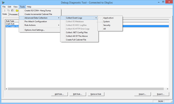 Debug Diagnostic Tool screenshot 4