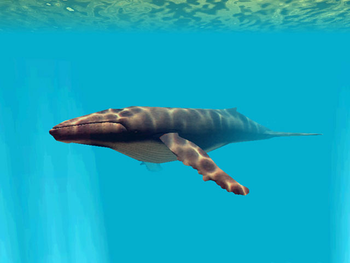 Deep Sea World 3D Screensaver screenshot