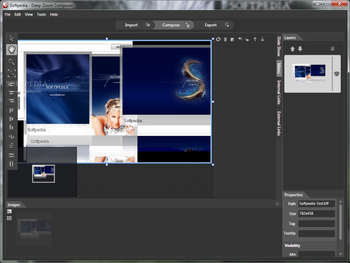 Deep Zoom Composer screenshot 2